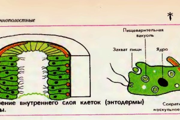 Блэк спрут восстановление пароля