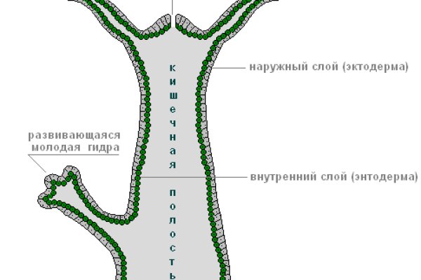 Дайте ссылку блэкспрут